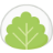 Mochi logo