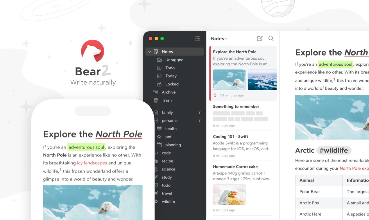 Bear website preview